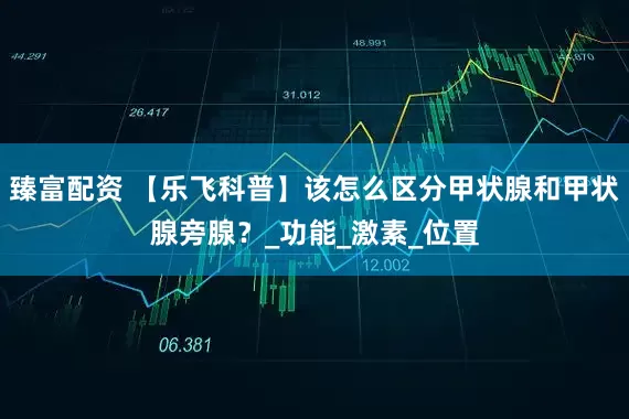 臻富配资 【乐飞科普】该怎么区分甲状腺和甲状腺旁腺？_功能_激素_位置